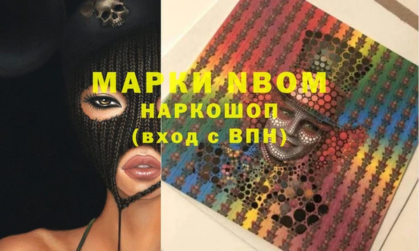 PSILOCYBIN Магас