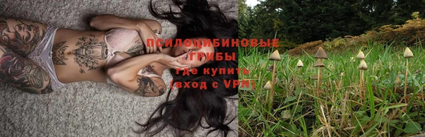 наркотики Абаза